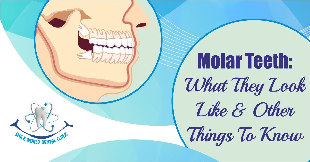 Molar Teeth - Things to know